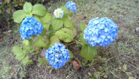 WIN_20250603_15_33_17_Pro
